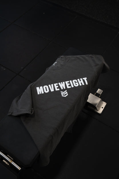 ABNP SHADOW GREY OVERSIZED TEE